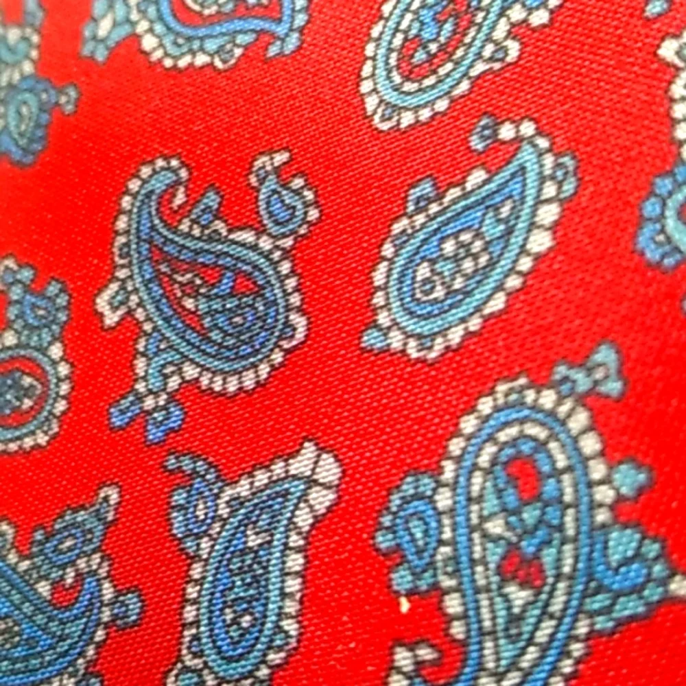 Egon von Furstenberg Paisley Pattern Tie